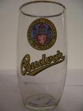 Budvar (0,3L) č.1