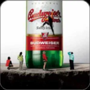 Budweiser Budvar Světlý ležák BUDWEISER (PTVP-Č-ab)