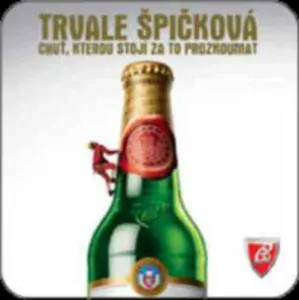 Budvar TRVALE ŠPIČKOVÁ CHUŤ KTEROU STOJÍ ZA TO PROZKOUMAT (PTVP-Č-ab)