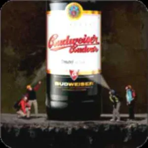 Budweiser Budvar Tmavý ležák BUDWEISER (PTVP-Č-ab)