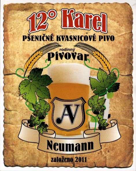 12° Karel PŠENIČNÉ KVASNICOVÉ PIVO (Mělnické Vtelno) (S)