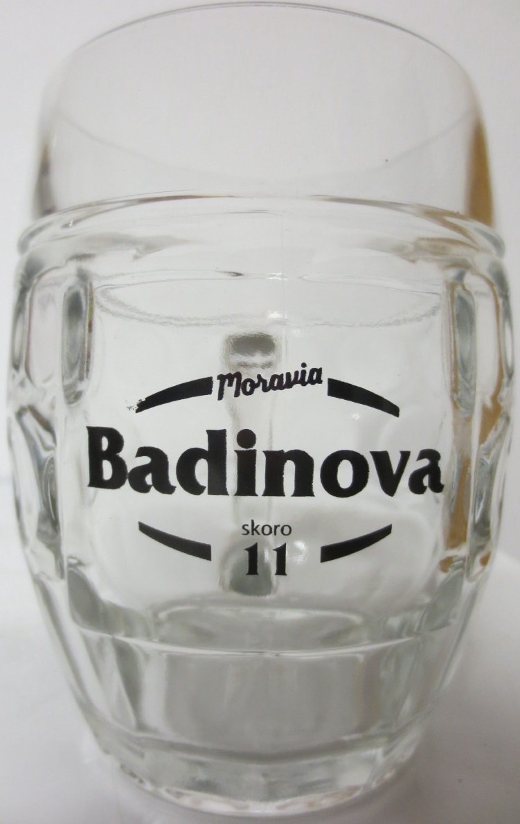 Moravia Badinova skoro 11 (0,5L)