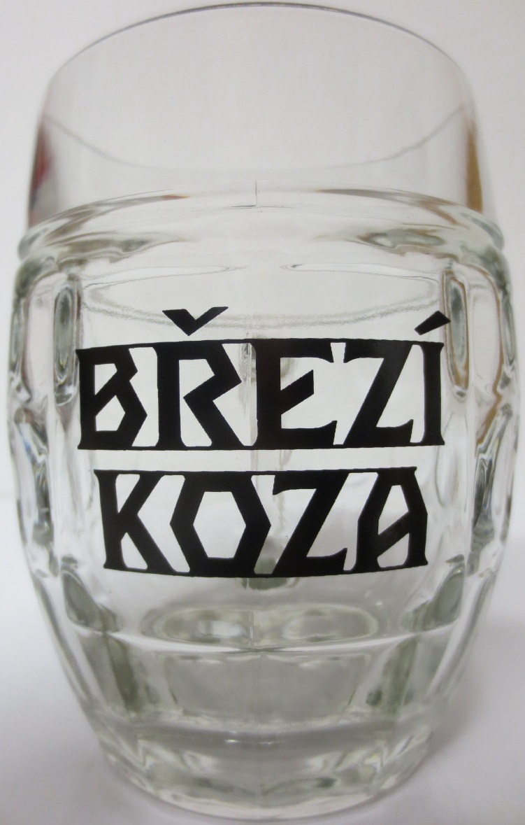 BŘEZÍ KOZA (0,5L) Tübinger 