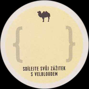 #dejsidohrbu SDÍLEJTE SVŮJ ZÁŽITEK S VELBLOUDEM (PTMP-K-ab)