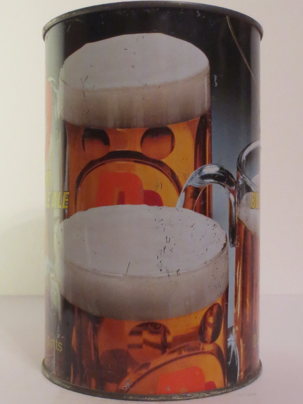 DD DRAUGHT BURTON PALE ALE (222 cl)