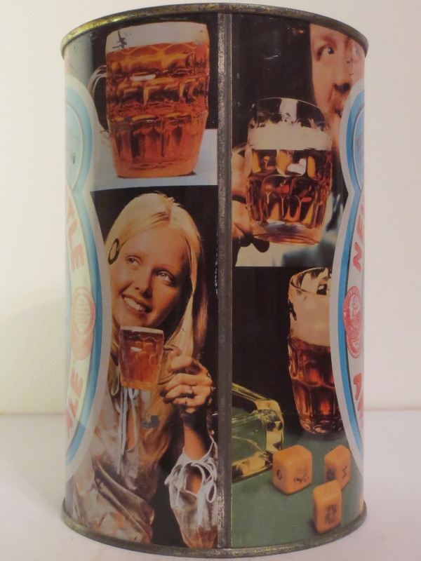 NEWCASTLE AMBER ALE (221 cl)
